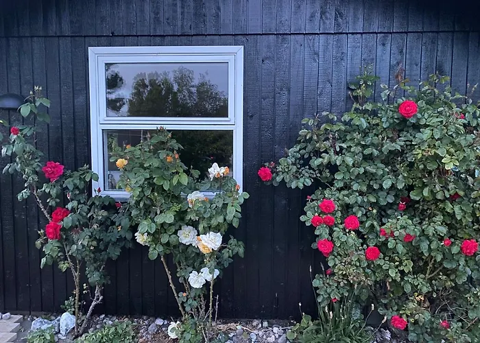 Nyhus, Dragsmur, Mols * Knebel
